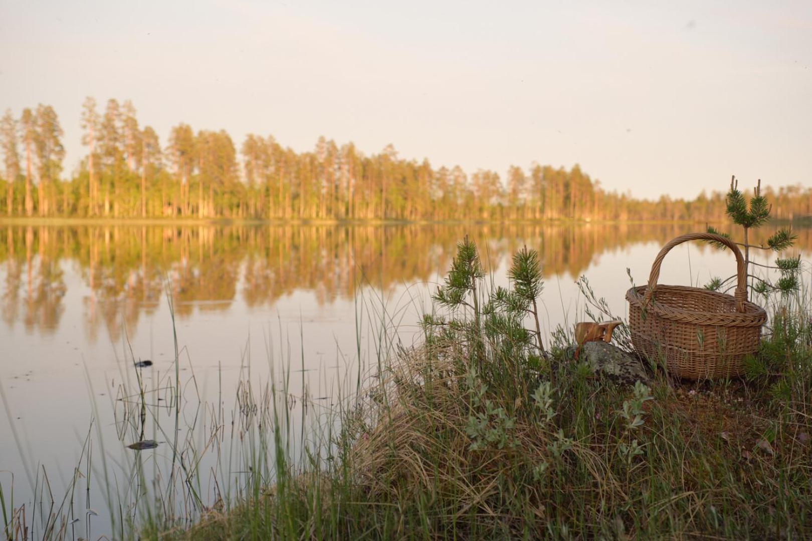Hotel Langforsen Glamping & Lapland Experience Lapptrask Exterior foto