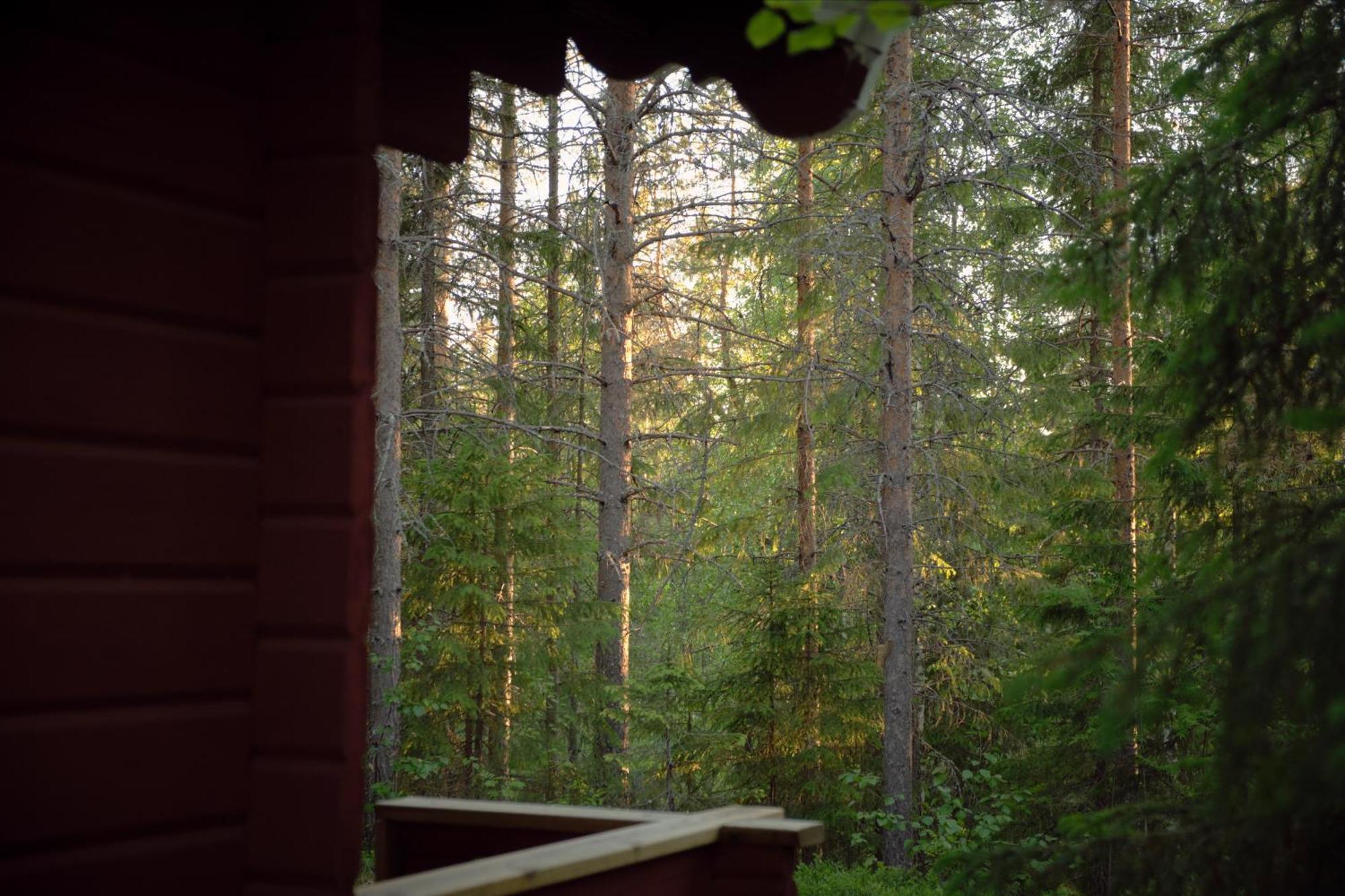 Hotel Langforsen Glamping & Lapland Experience Lapptrask Exterior foto